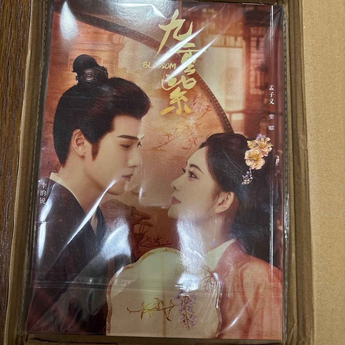 Amazon.co.jp: 九重紫 モン ズーイー リー ユンルイ